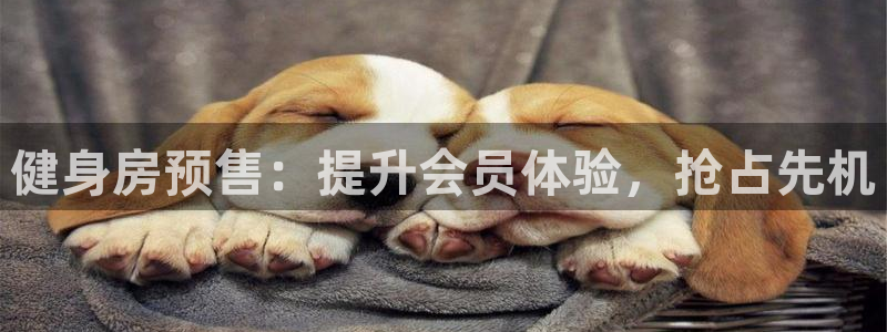 ag尊龙凯时官网